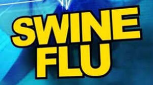 swine flu pandemic-vidiyarseithigal.com