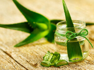 Aloe vera gel benefits tamil-vidiyarseithigal.com