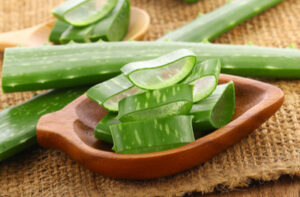 Aloe vera gel benefits tamil-vidiyarseithigal.com