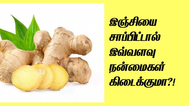 benefits of ginger water in tamil-vidiyarseithigal.com