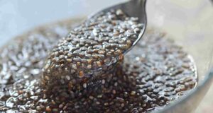 chia seeds benefits for weight loss Tamil-vidiyarseithigal.com